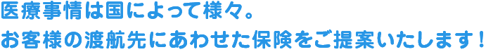 医療事情は国によって様々。お客様の渡航先にあわせた保険をご提案いたします！