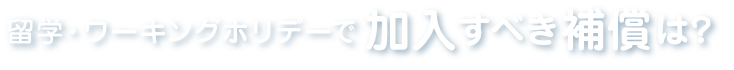 加入すべき補償は？